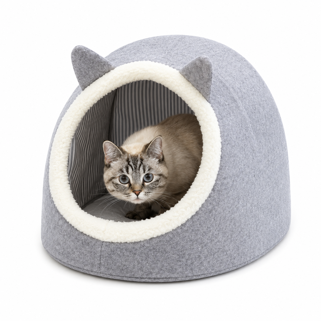 ALAS Cat & Dog House